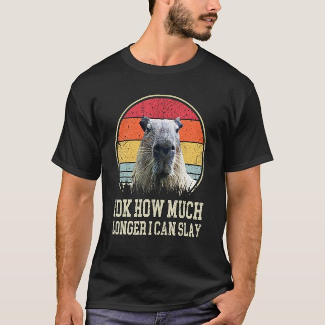 Idk How Much Longer I Can Slay Capybara  Quote T-Shirt (Front)