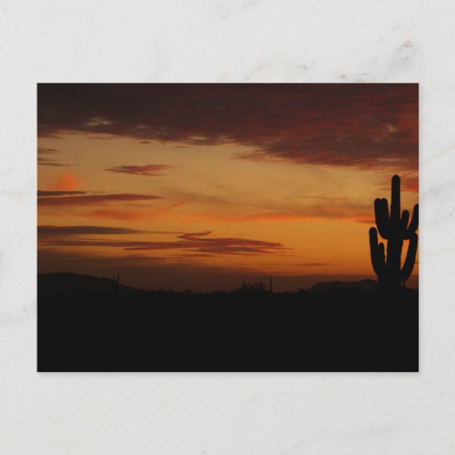 IDKP Sunset post card (Front)