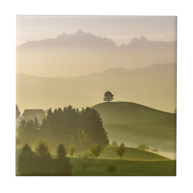 Idyllic Landscape | Switzerland, Säntis Tile (Front)