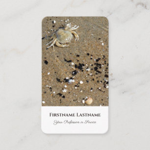Idyllic sandy beach with crab life coaching expert business card