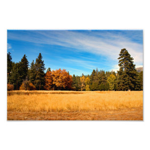 Idyllwild - Pine Cove Photo Print