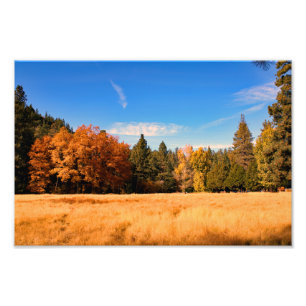 Idyllwild - Pine Cove Photo Print