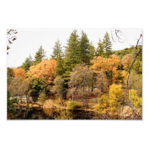 Idyllwild - Pine Cove Photo Print