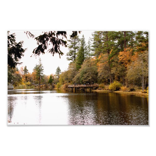 Idyllwild Pine - Cove Photo Print (Front)