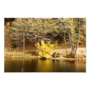 Idyllwild - Pine Cove Photo Print