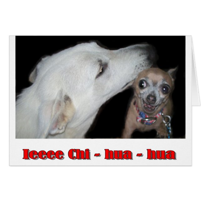 Ieee Chi hua hua (Front Horizontal)