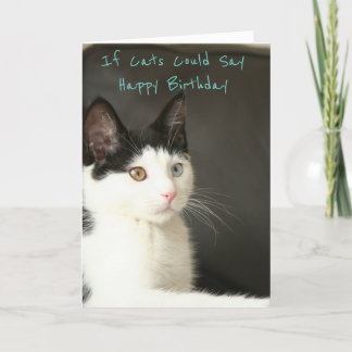 If Cats Could Say Happy Birthday Card