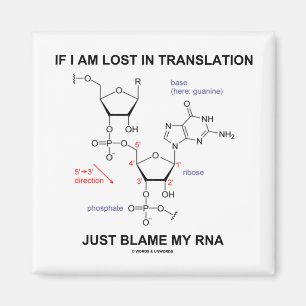 If I Am Lost In Translation Just Blame My RNA Magnet
