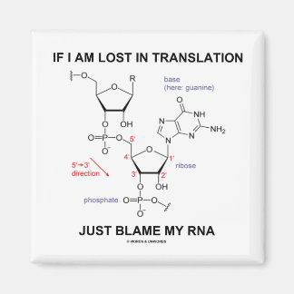If I Am Lost In Translation Just Blame My RNA Magnet