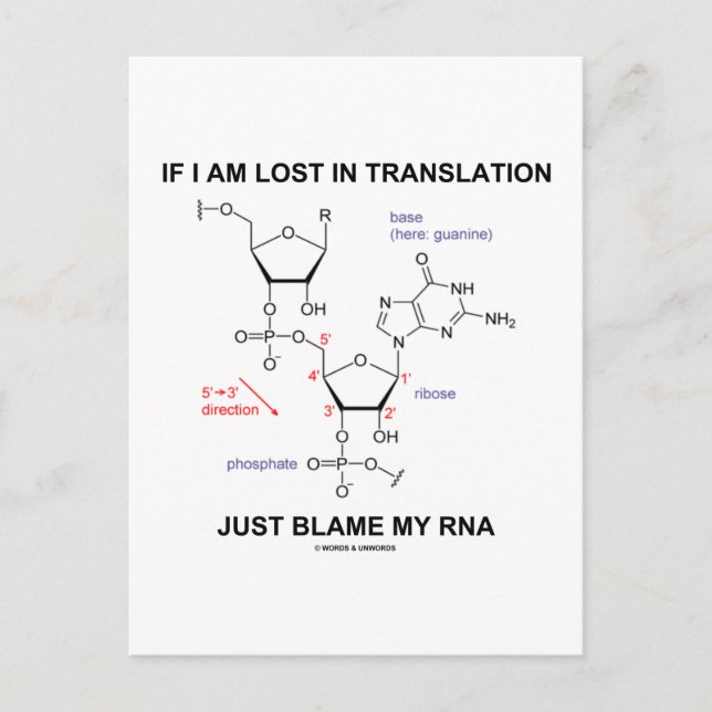 If I Am Lost In Translation Just Blame My RNA Postcard (Front)