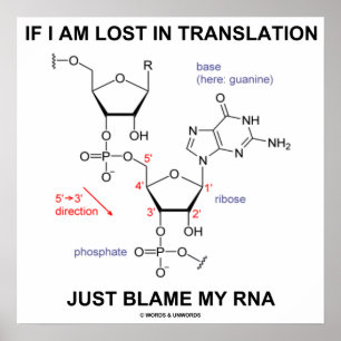 If I Am Lost In Translation Just Blame My RNA Poster
