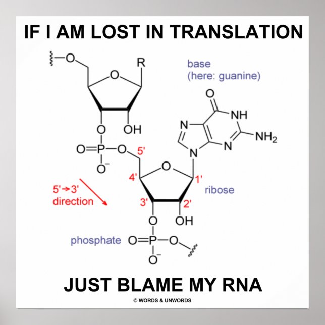 If I Am Lost In Translation Just Blame My RNA Poster (Front)