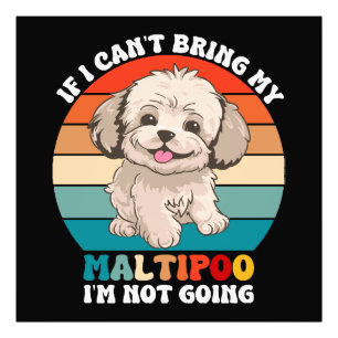 If I Can't Bring My Maltipoo Dog, I'm Not Going Photo Print