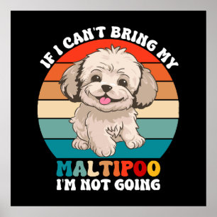 If I Can't Bring My Maltipoo Dog, I'm Not Going Poster