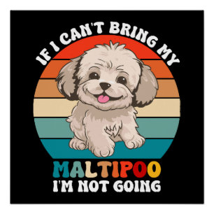 If I Can't Bring My Maltipoo Dog, I'm Not Going Poster