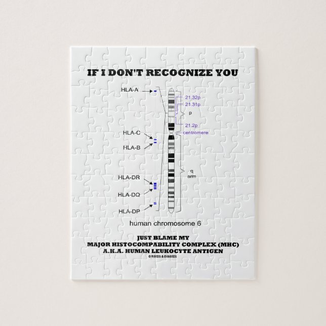 If I Don't Recognise You Just Blame My MHC Biology Jigsaw Puzzle (Vertical)