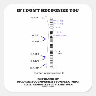 If I Don't Recognise You Just Blame My MHC Biology Square Sticker
