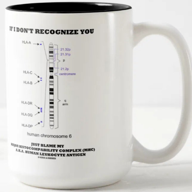 If I Don't Recognise You Just Blame My MHC Biology Two-Tone Coffee Mug (Immunologists will enjoy this MHC humor mug featuring human chromosome 6)