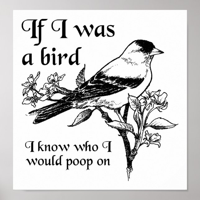 If I Was a Bird Funny Poster (Front)