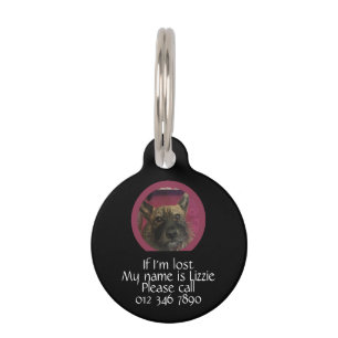 If I'm Lost, name and contact details Pet Tag