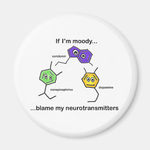 If I'm Moody... Magnet