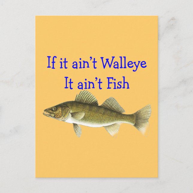 if it aint walleye aint fish postcard (Front)