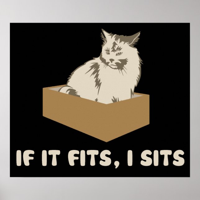 If It Fits, I Sits Cat Poster (Front)