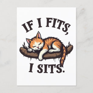 If it Fits I Sits Funny Sleepy Cat Feline Kitten Postcard