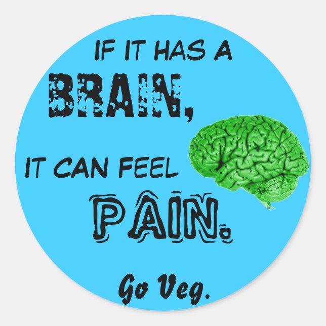 If It Has a Brain, It Can Feel Pain. Go Veg Classic Round Sticker (Front)