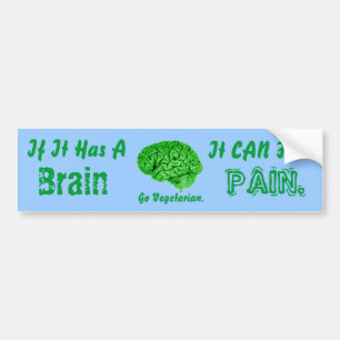 If It Has a Brain, It Can Feel Pain. Go Vegetarian Bumper Sticker