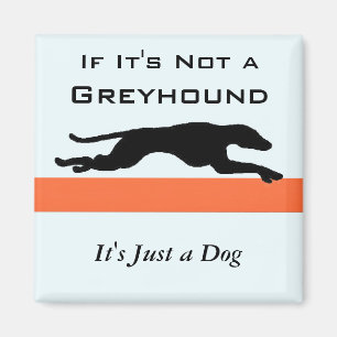 If Its Not a Greyhound Its Just a Dog Funny Magnet