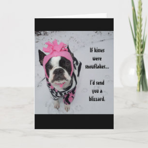 If kisses were snowflakes... Lola B. Boston Holiday Card