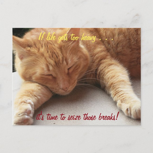 If life gets too heavy Inspirational Quote cat 2 Postcard (Front)