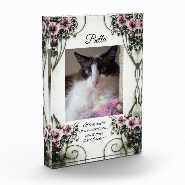 If love could have saved you... photo block (Left)