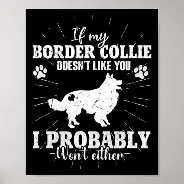 If My Border Collie Doesn't Like You I Won't Fun C Poster (Front)