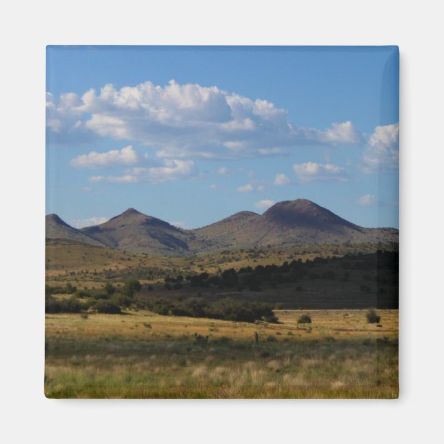 If Only One Shot - Prescott Valley, AZ Magnet (Front)