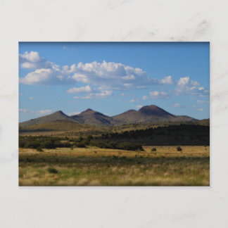 If Only One Shot - Prescott Valley, AZ Postcard