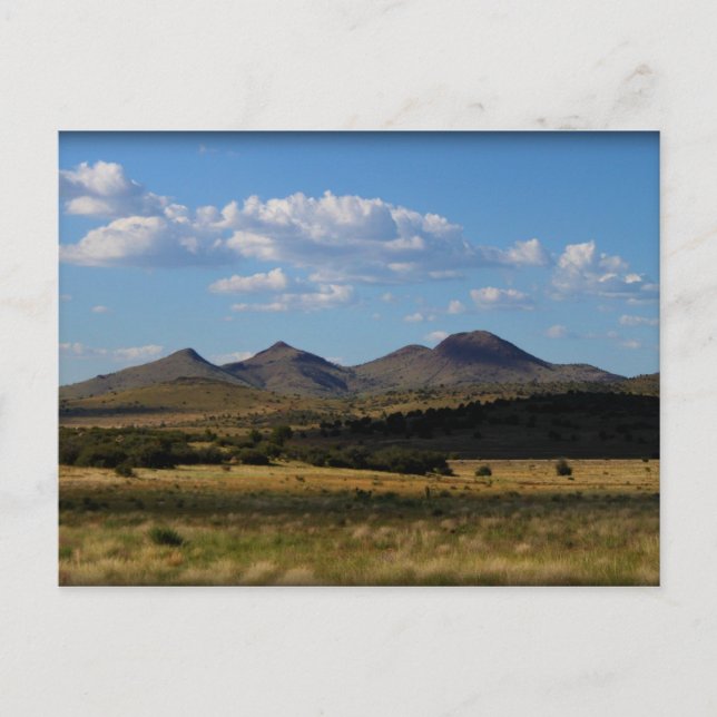 If Only One Shot - Prescott Valley, AZ Postcard (Front)