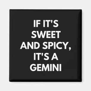 If Sweet And Spicy A Gemini Funny Birthday Zodiac Magnet