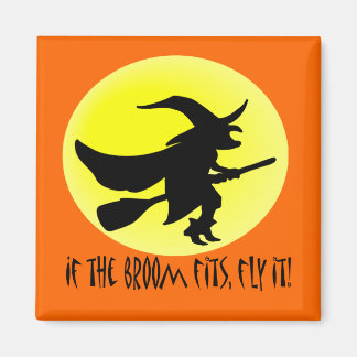 If the broom fits, fly it! magnet