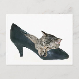 If the shoe fits postcard
