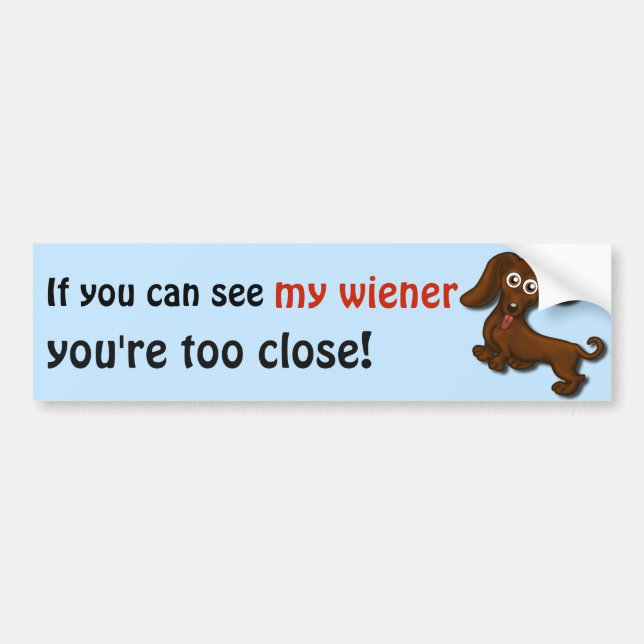 If you can see my wiener, funny dachshund bumper sticker (Front)