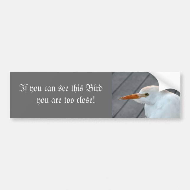 If You Can See this Bird You are Too Close Bumper Sticker (Front)
