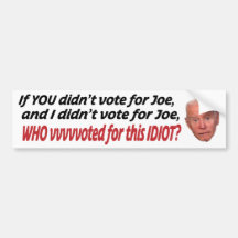 If you didn't vote for Joe and I didn't vote for J