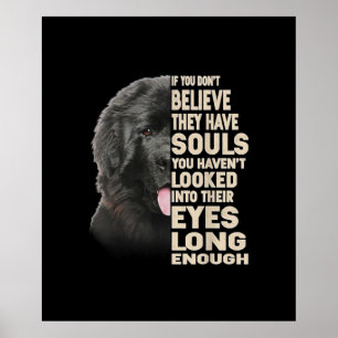 If You Dont Believe They Have Souls Newfoundland Poster