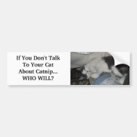 If You Don't Talk To Your Cat Abo...
