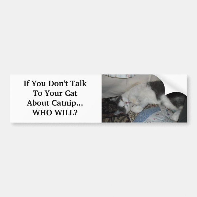 If You Don't Talk To Your Cat Abo... Bumper Sticker (Front)