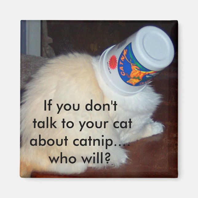 If you don't talk to your cat about catnip...who w magnet (Front)