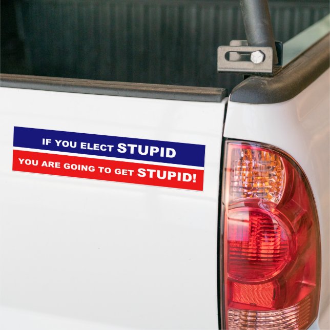 If you elect stupid you are going to get stupid bumper sticker (On Truck)
