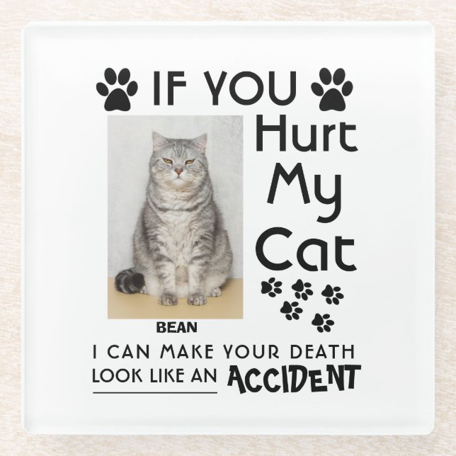 If You Hurt My Cat I Can Make Your Death Cat Paws Glass Coaster (Front)